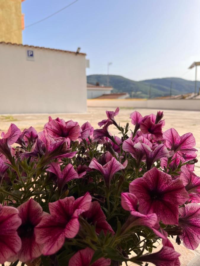 Abbanive Hotel Mamoiada Eksteriør billede